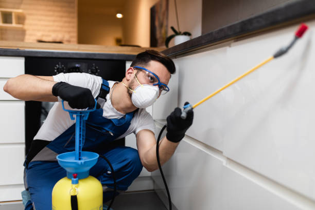 Best Local Pest Control Services  in Powell, AL