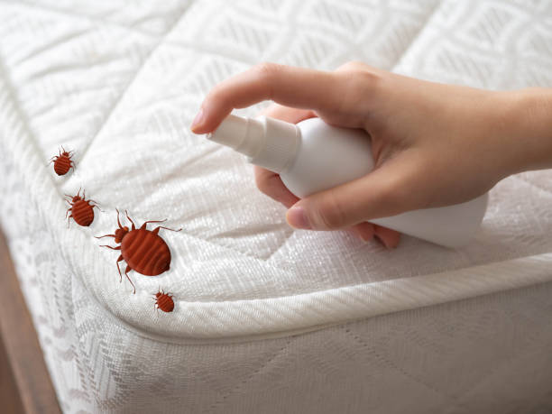 Professional Pest Control in Powell, AL